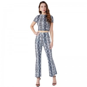Leopard Print Bodycon Shorts Trendy Two Piece Set Kvinnor Kläder